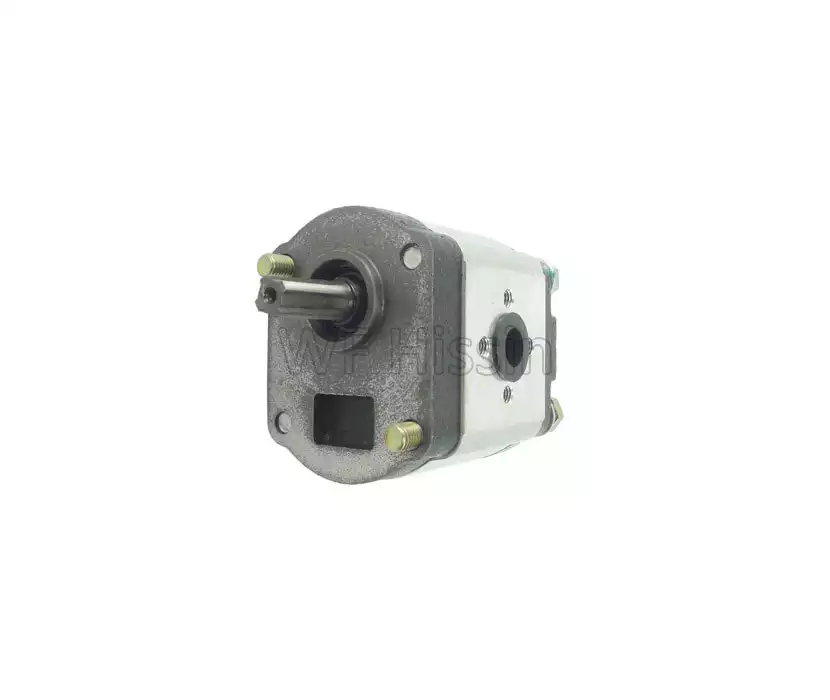Gear pump FT354.58D.010